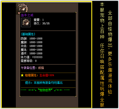 description 